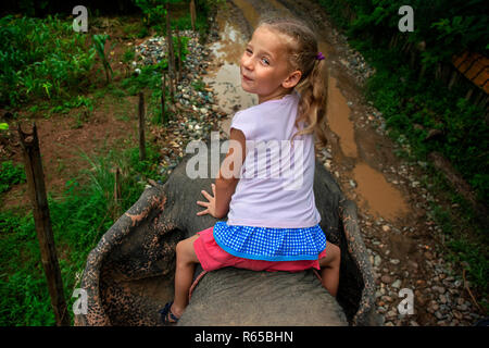 A tourist girl over the Elephant ride in Elephant Village Sanctuary & Resort, near Luang Prabang Laos Stock Photo