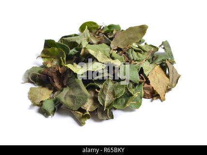 Dried medicinal herbs raw materials isolated on white. Leaves of Orthilia secunda. Stock Photo