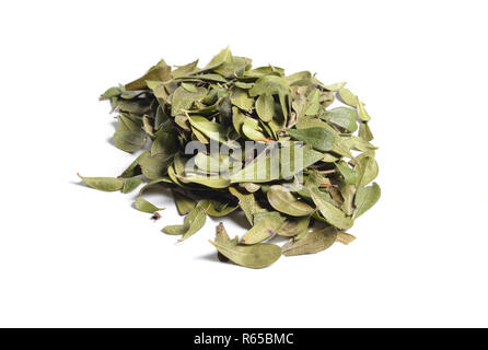Dried medicinal herbs raw materials isolated on white. Leaves of Arctostaphylos.