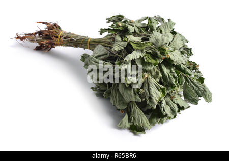 Dried medicinal herbs raw materials isolated on white. Fragaria. Stock Photo