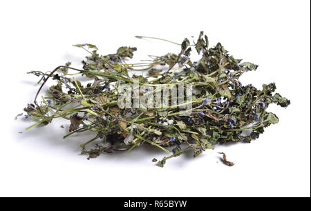 Dried medicinal herbs raw materials isolated on white. Glechoma hederacea. It is commonly known as ground-ivy, gill-over-the-ground, creeping charlie, Stock Photo