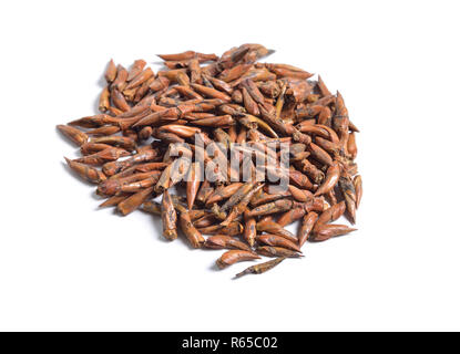 Dried medicinal herbs raw materials isolated on white. Buds of Populus nigra, the black poplar. Stock Photo