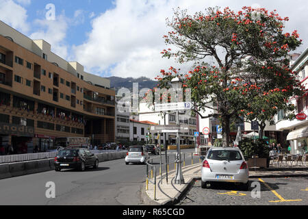 Street near of the Farmers market in Funchal, island of Madeira Stock Photo