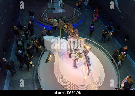 London, UK - April 29, 2018 - Top view of the most complete Stegosaurus Skeleton in Natural History Museum Stock Photo