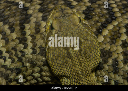 <!doctype html public Stock Photo
