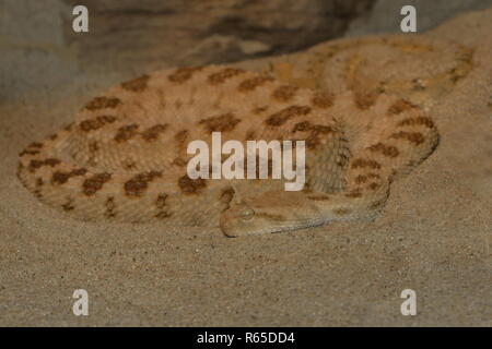 <!doctype html public Stock Photo