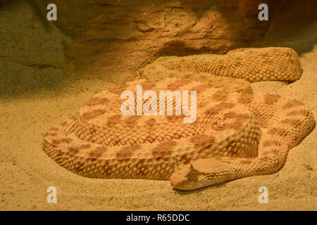 <!doctype html public Stock Photo