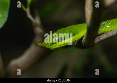 <!doctype html public Stock Photo