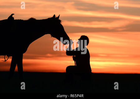 Rider pats horse at beautiful idyllic sunset. Romantic background with equine and horseman silhouette. Stock Photo