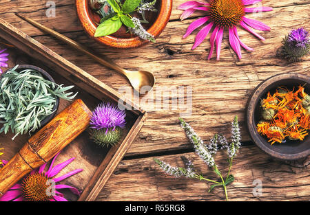 herbal medicinal herbs and plant Stock Photo