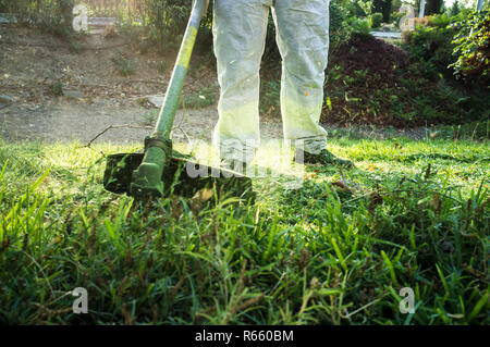 Gardener mowing the grass with lawn mower in the park Stock Photo