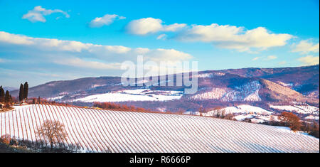 Vineyards rows covered by snow in winter. Chianti region countryside, Siena, Tuscany, Italy Stock Photo