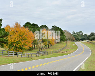 Quiet winding country road or lane with a split rail fence and trees changing into Fall colors in south Alabama, USA. Stock Photo