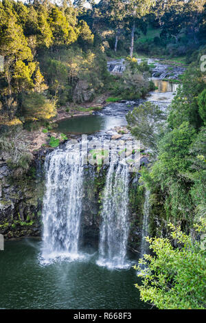 Dangar Falls of the Bielsdown River near Dorrigo in the Northern Tablelands of New South Wales, Australia Stock Photo