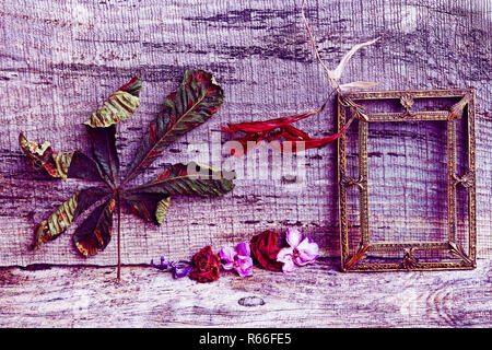 still life with flowers,leaves and a brass picture frame on a wooden background in purple and red Stock Photo