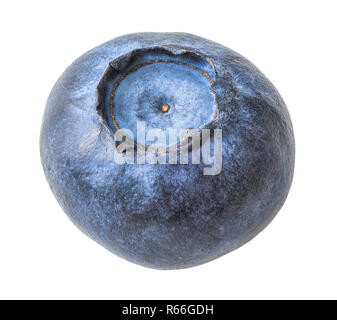 Single Blueberry Isolated on White Background Stock Photo