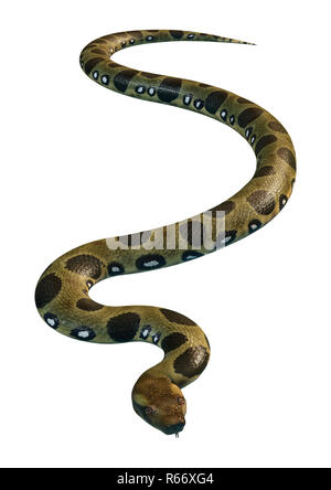 Anaconda 3d hi-res stock photography and images - Alamy