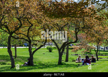 Young people enjoy a spring day at Congress Park, Saratoga Springs, NY, USA. Stock Photo