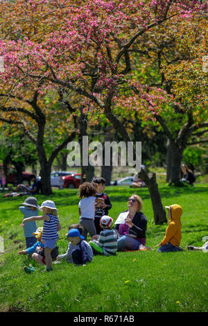 A group of children from Day Care enjoy a spring day at Congress Park, Saratoga Springs, NY, USA. Stock Photo