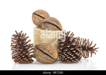 Othalanga - Suicide tree seed and cedar pine cone in sacks fodder Stock Photo