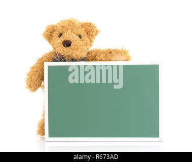 Teddy bear with empty green board Stock Photo