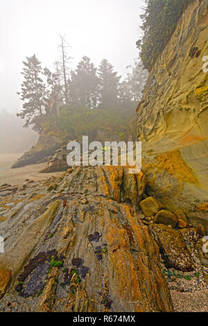 Morning Fog and Colors on the Coast Stock Photo