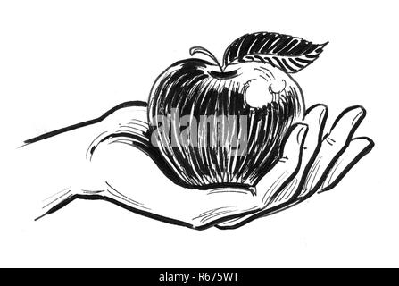 Hand holding an apple fruit. Ink black and white sketch Stock Photo