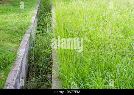 Cement water groove  in the wild grass Stock Photo