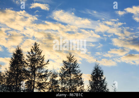 Moving yellow clouds on a blue sky with silhouette trees during sunset. End of summer concept. Stock Photo
