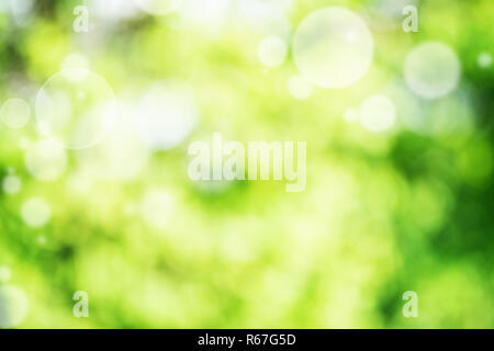 Abstract green bright bokeh background Stock Photo