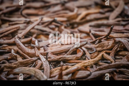 Madagascars vanilla pods Stock Photo