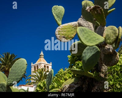 Bell tower of the Cathedral of St. Mary Stock Photo