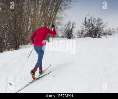 ALMATY, KAZAKHSTAN - FEBRUARY 18, 2017: amateur competitions in the discipline of cross-country skiing, under the name of ARBA Ski Fest. Woman cross c Stock Photo