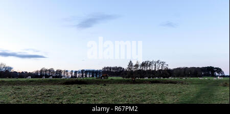 Sunset over the Tatton Park with herd of deer Stock Photo