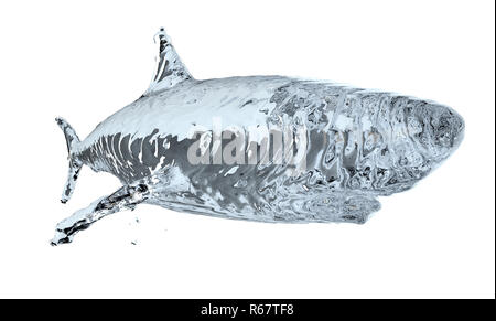 Water shark isolated on white background Stock Photo