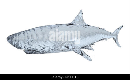 Water shark isolated on white background Stock Photo