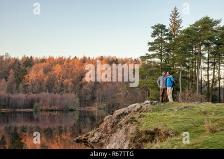 Young gay couple admire the view across Tarn Hows in the Lake District on a beautiful Autumn Fall evenung sunset Stock Photo