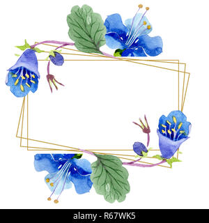 Blue phacelia flower. Watercolor background. Frame floral round
