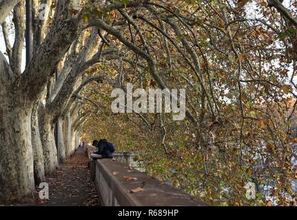 Rome, Italy. 4th Dec, 2018. A man sits by the Tiber River in Rome, Italy, on Dec. 4, 2018. Credit: Cheng Tingting/Xinhua/Alamy Live News Stock Photo