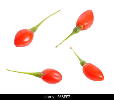 Goji berries or Lycium barbarum isolated on white background Stock Photo
