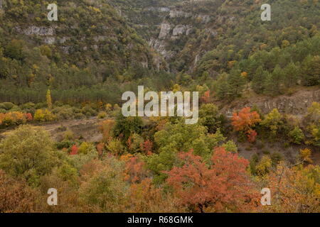 The Binies Gorge, Foz de Binies in the Veral valley above Berdun in autumn. Aragon Pyrenees, Spain. Stock Photo