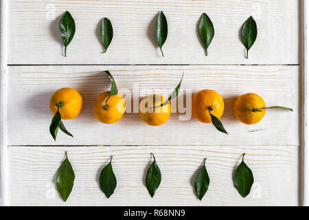 Top view to mandarins and their green leaves, laid out in rows on white wooden background. Stock Photo