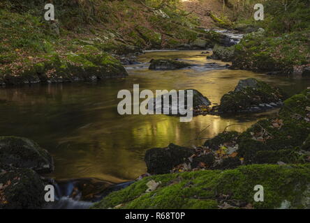 The East Lyn River in autumn, above Watersmeet, Exmoor, Devon. Stock Photo