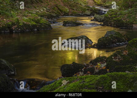 The East Lyn River in autumn, above Watersmeet, Exmoor, Devon. Stock Photo