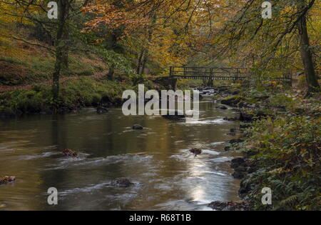 The East Lyn River in autumn, above Watersmeet, Exmoor, Devon. Stock Photo