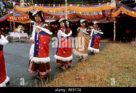 Hemis Gompa fair festival dance, Leh, Ladakh, Jammu and Kashmir, Union Territory, UT, India, Asia Stock Photo