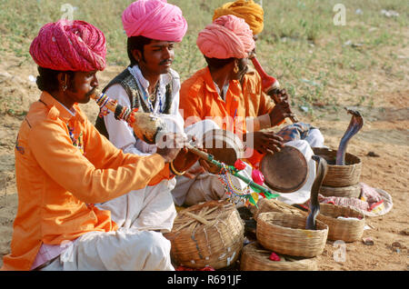 Snake Charmers playing musical wind instrument pungi, India, Asia Stock Photo