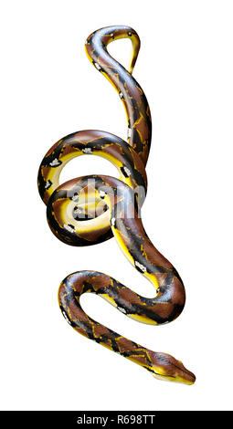 3D Rendering Reticulated Python on White Stock Photo