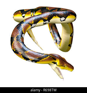 3D Rendering Reticulated Python on White Stock Photo