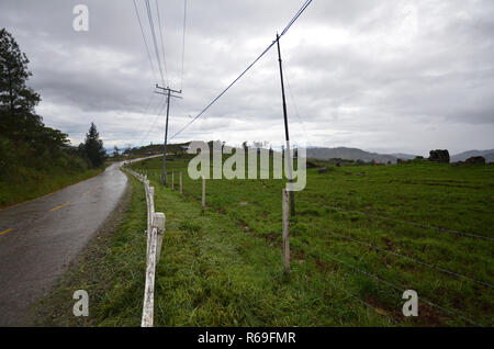 Cattle Farm in Kundasang Sabah Stock Photo